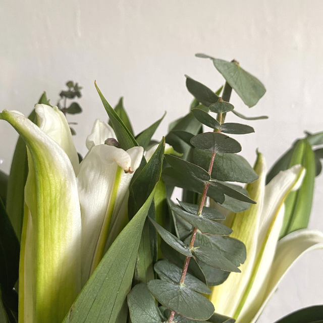 Elegant Fresh White Lily Bouquet