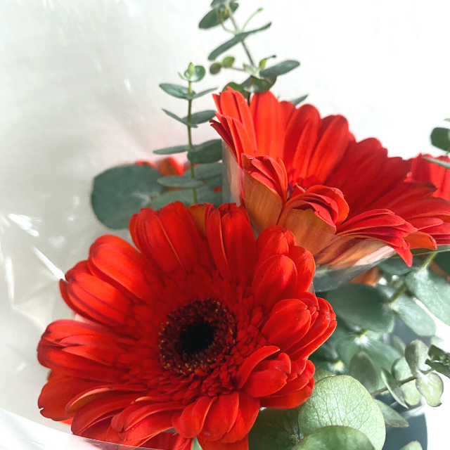 Cheerful Fresh Orange Gerberas Bouquet