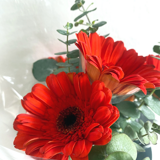 Cheerful Fresh Orange Gerberas Bouquet