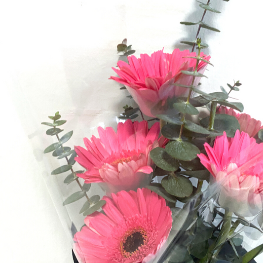 Cheerful Fresh Pink Gerberas Bouquet