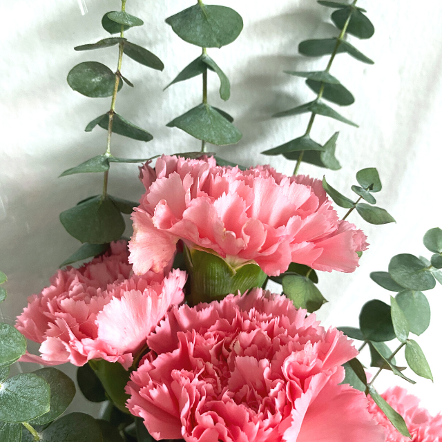 Sweet Fresh Pink Carnations Bouquet