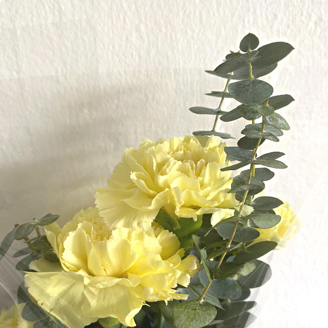 Sweet Fresh Yellow Carnations Bouquet